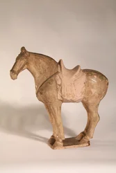 Pferd, aus einem Grab in Gongxian, Provinz Henan, 700-750
